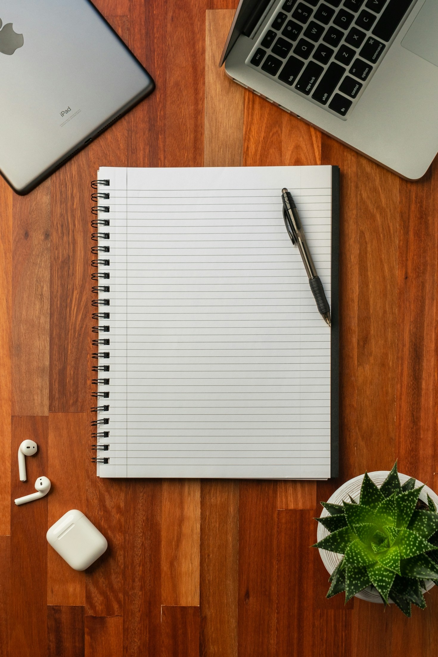 Reflections on Growth and Self-Discovery