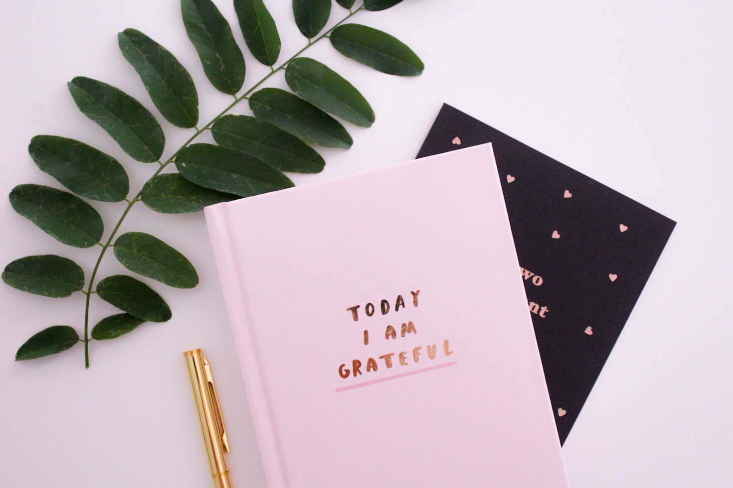Stories That Changed My Perspective